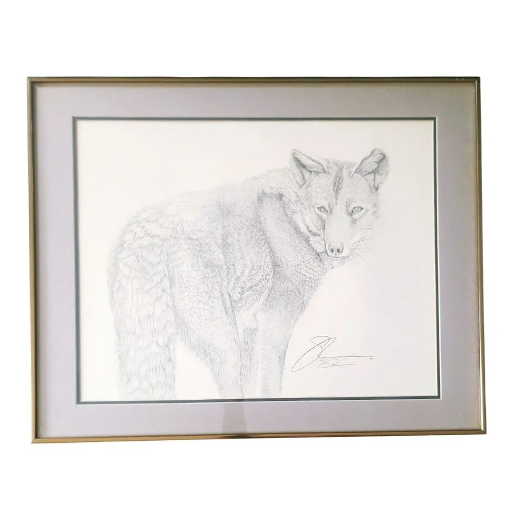 Susan Morrison Coyote Signed & Numbered Print With Gold Metal Frame 1980
